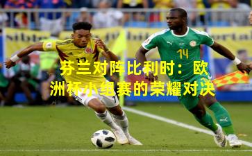 芬兰对阵比利时：欧洲杯小组赛的荣耀对决