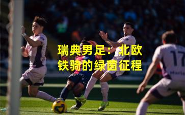 瑞典男足：北欧铁骑的绿茵征程