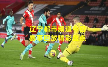 辽宁都市频道今日赛事回放精彩盘点