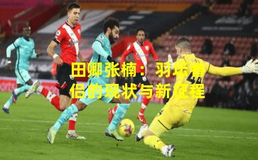 田卿张楠:羽坛眷侣的现状与新征程